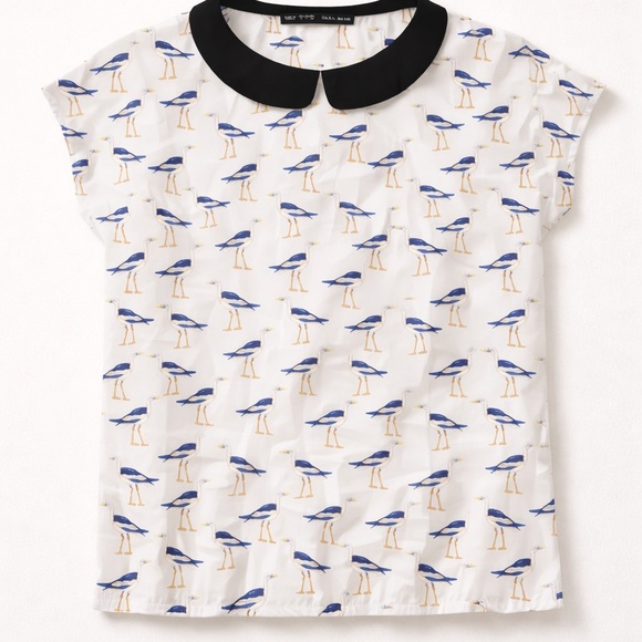 Zara Bird Print Blouse w/ Black Peter Pan Collar | Size Small - Picture 4 of 4